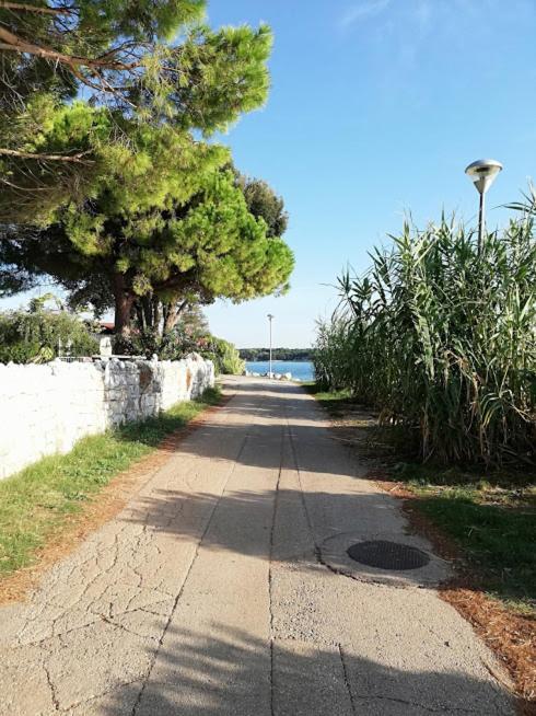 Oleander Lovrecica-residence With Pool Apartma