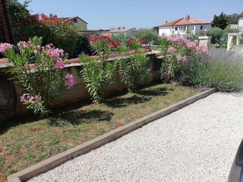 Oleander Lovrecica-residence With Pool Lovrecica (Istria)