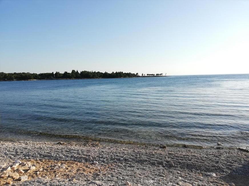Apartma Oleander Lovrecica-residence With Pool