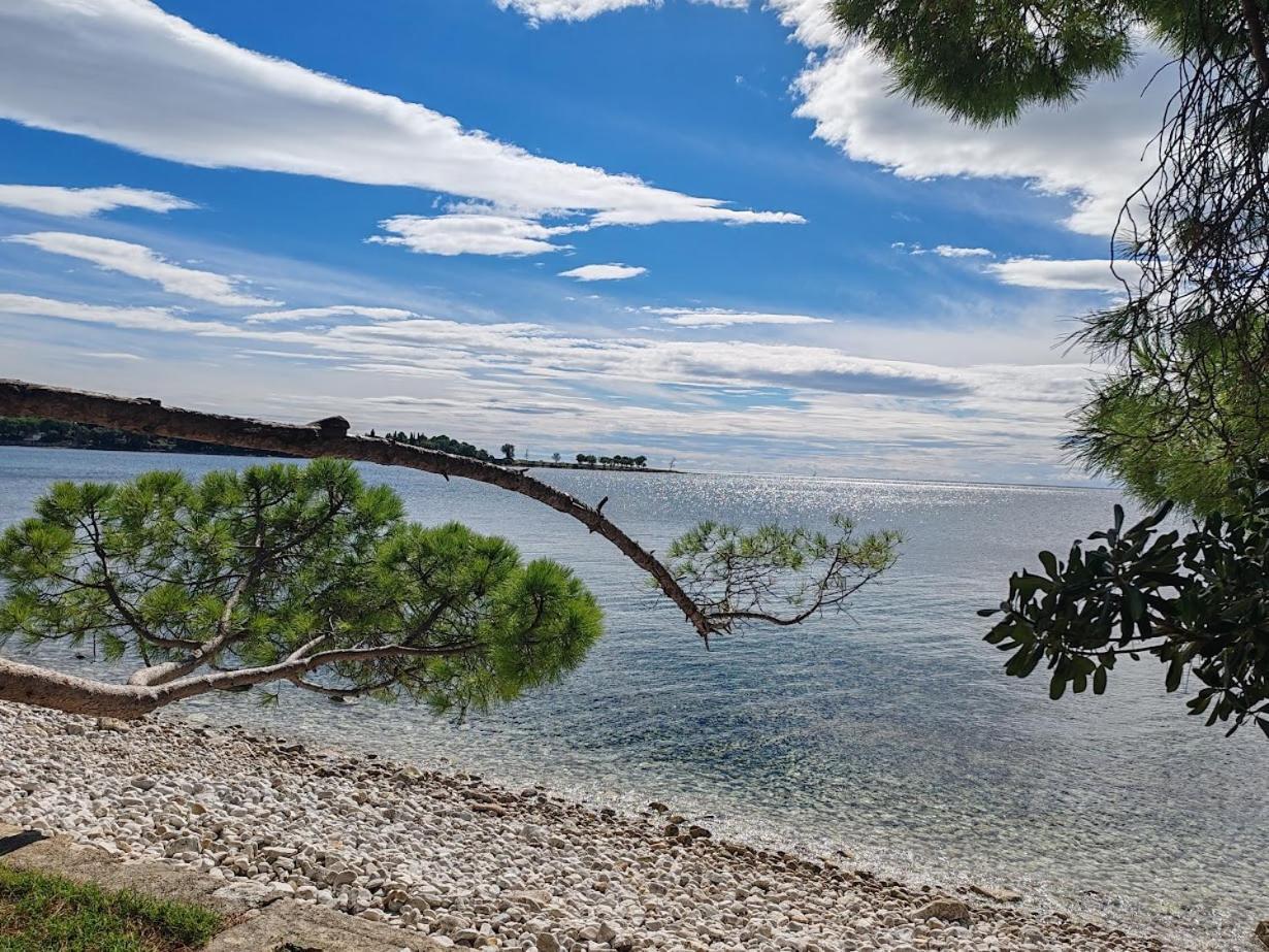 Oleander Lovrecica-residence With Pool Apartment Lovrecica (Istria)