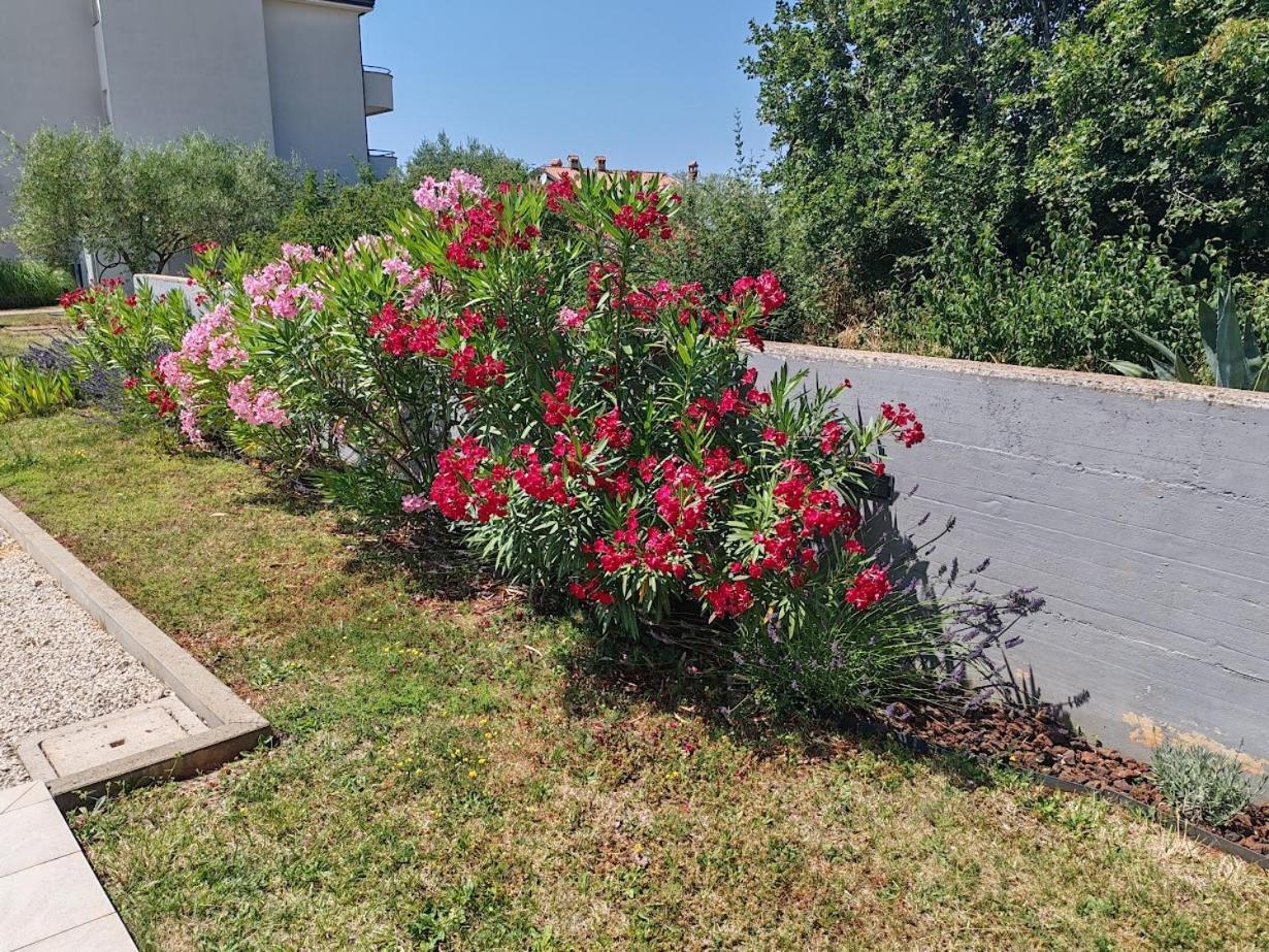 Oleander Lovrecica-residence With Pool Lovrečica